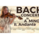 Bach Violin Concerto in A Minor Andante BWV 1041 Violin Performance
